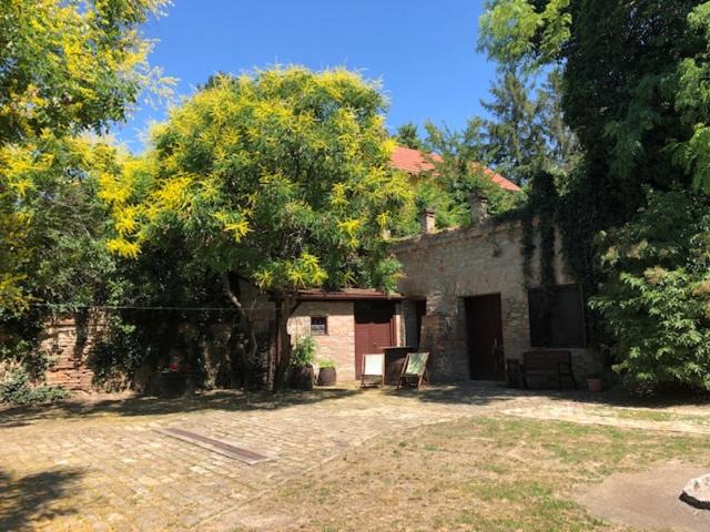 Photo of Others in Pannonhalma