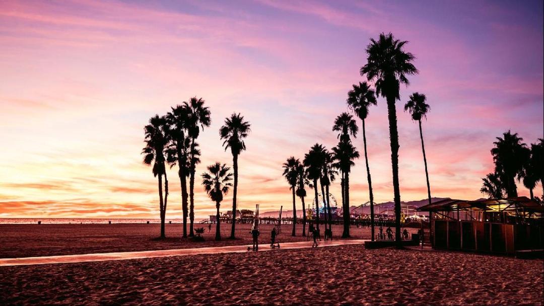 Photo of Others in Marina del Rey