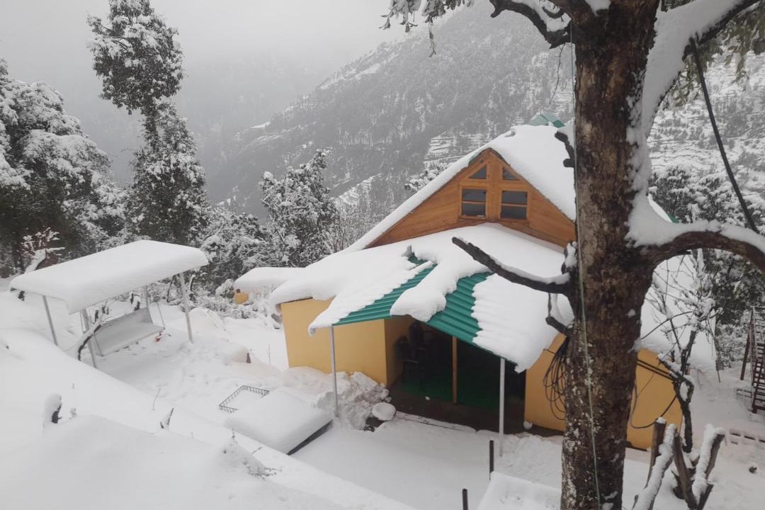 Photo of Others in Naina Range