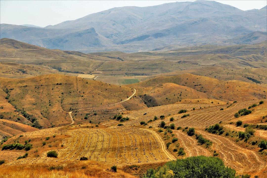 Photo of Others in Vayots Dzor Province