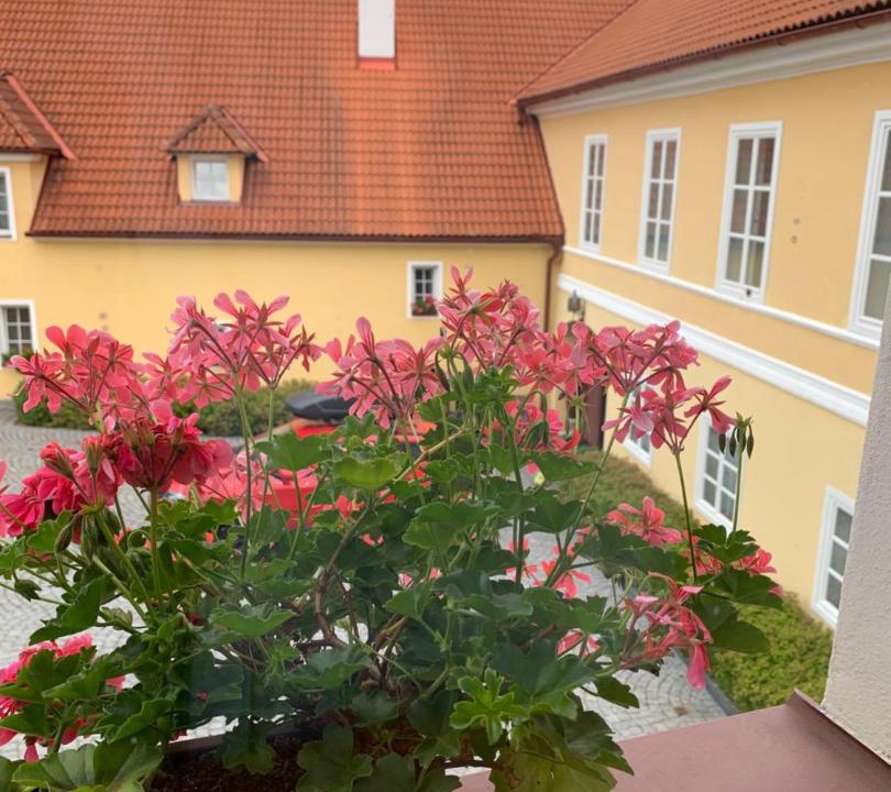 Photo of Others in Kolinec