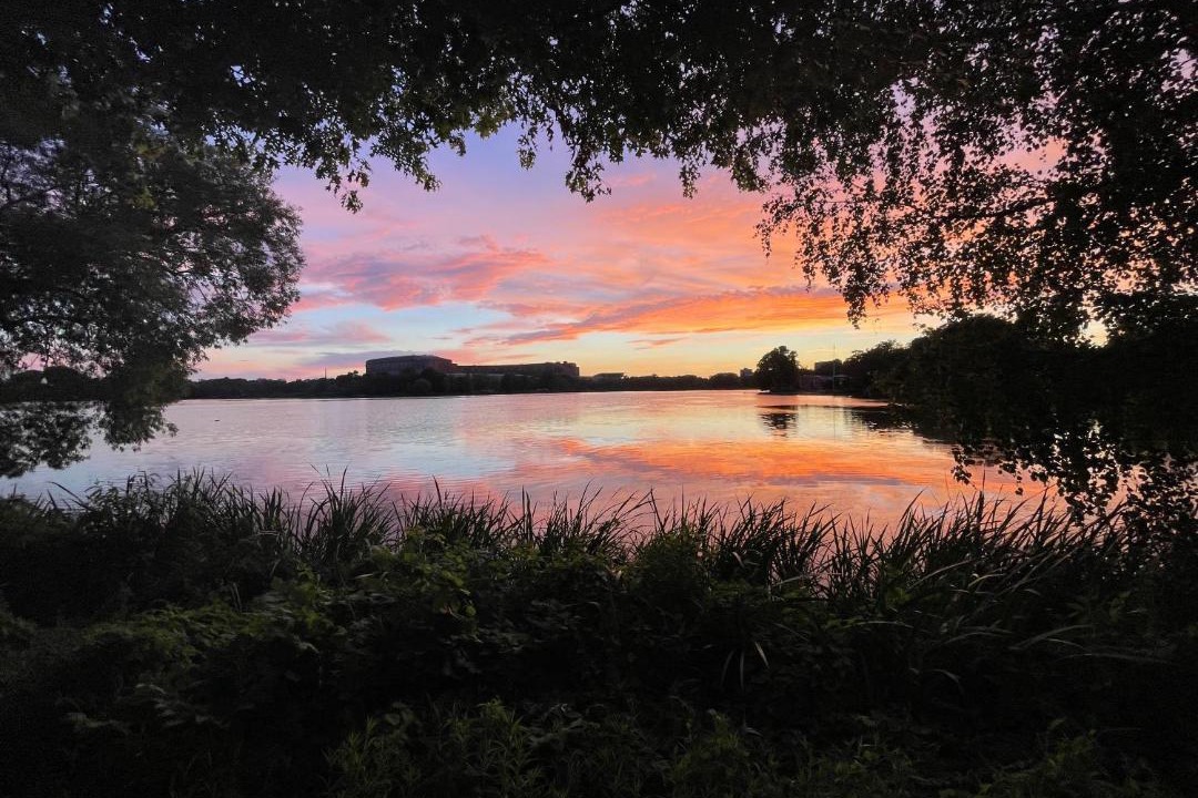 Photo of Others in Dutzendteich