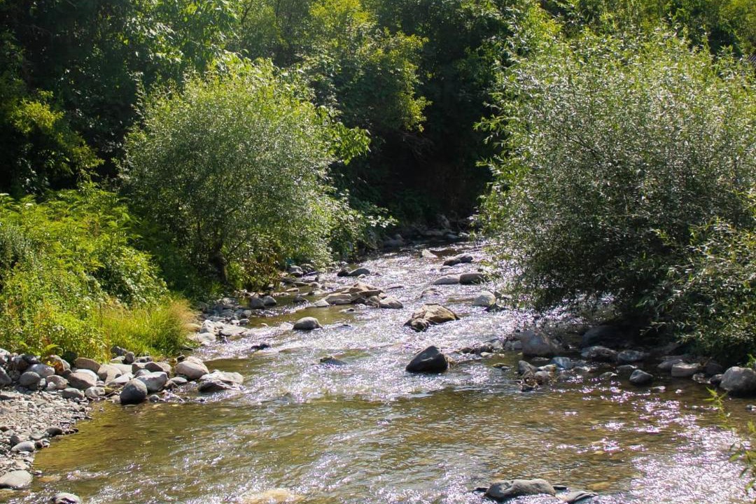 Photo of Others in Ijevan