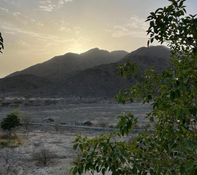 Photo of Others in Ras Al Khaimah