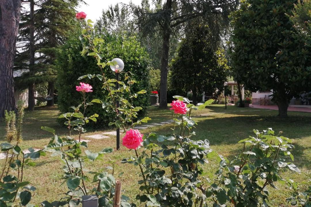 Photo of Outdoor in San Giuliano Terme