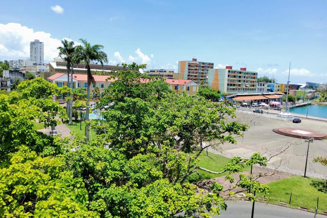 Photo of Others in Pointe-a-Pitre
