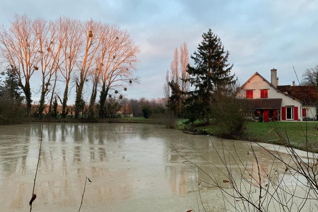 Photo of Others in Thenay