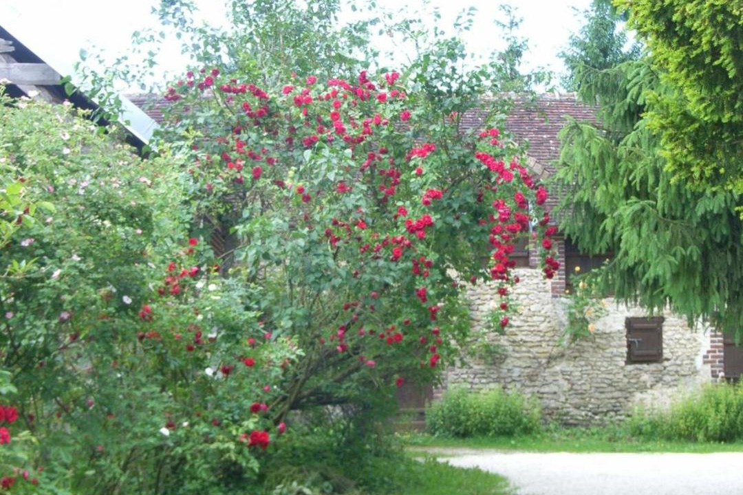 Photo of Others in Foucheres
