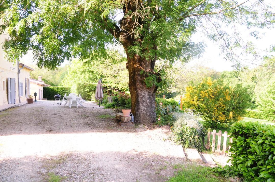 Photo of Others in Haux