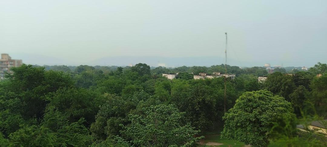 Photo of Others in Jamshedpur