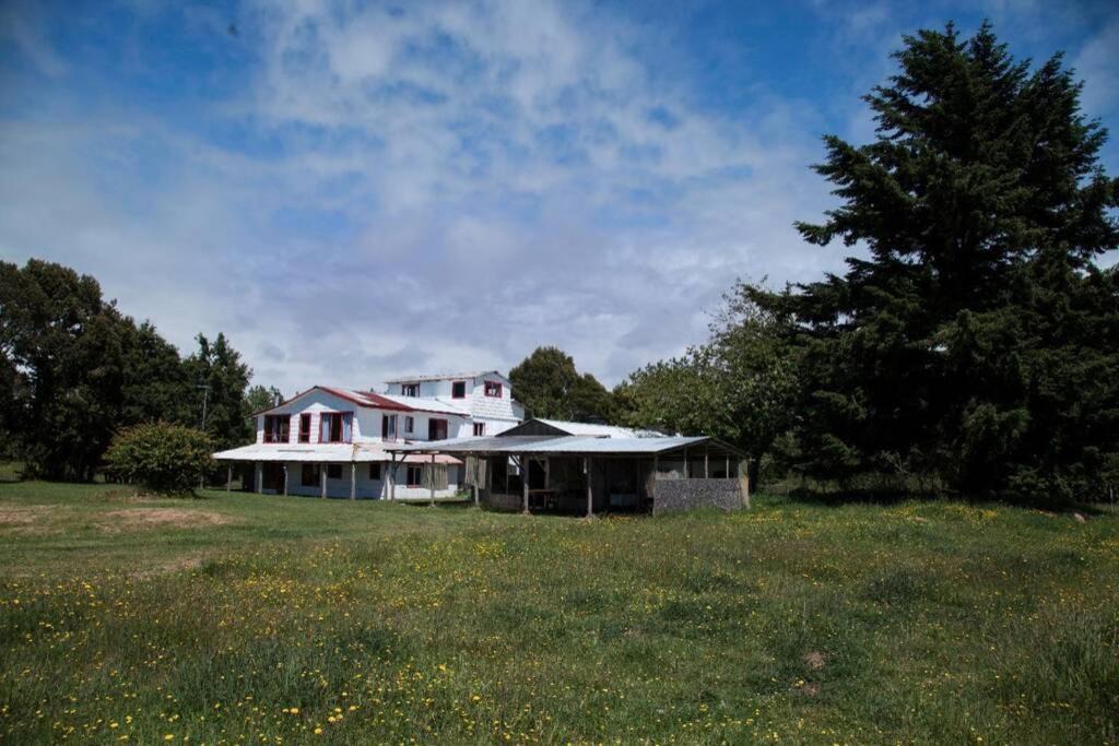 Photo of Buildings in Ancud
