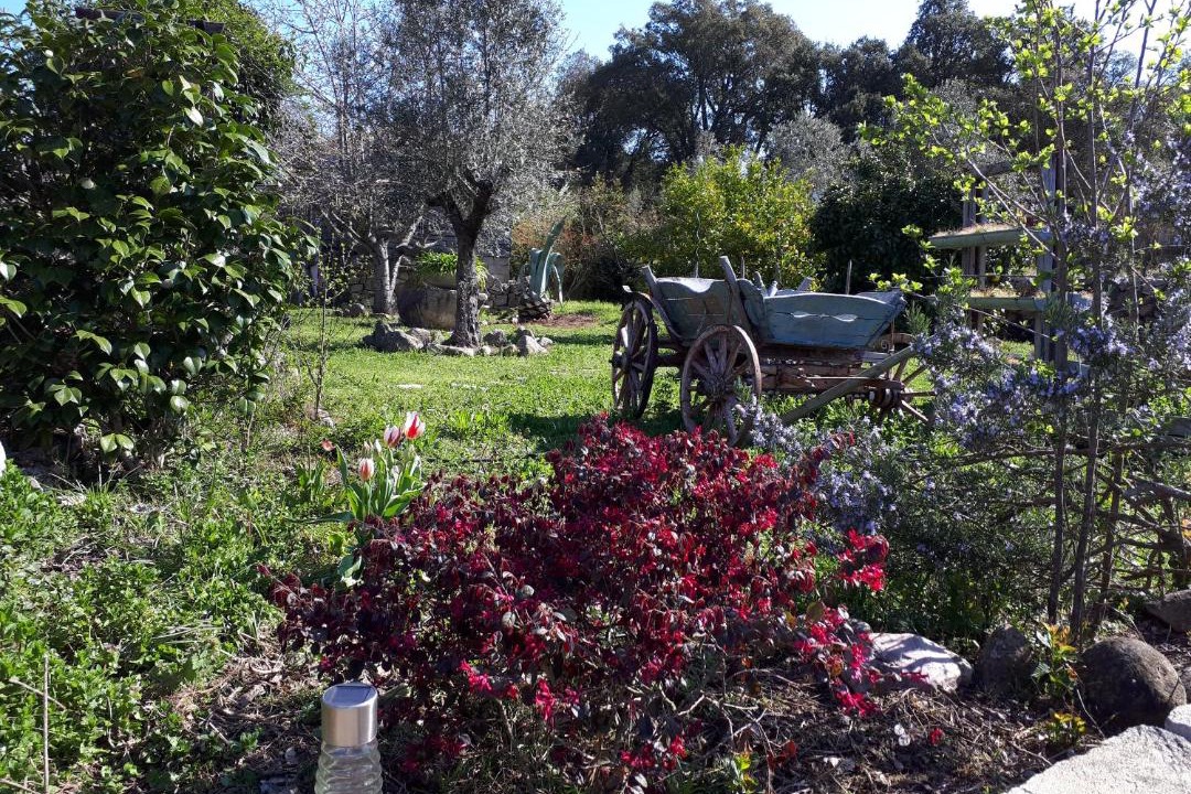 Photo of Outdoor in Carbuccia