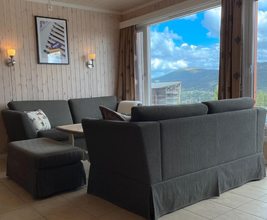 Photo of Livingroom in Trysil