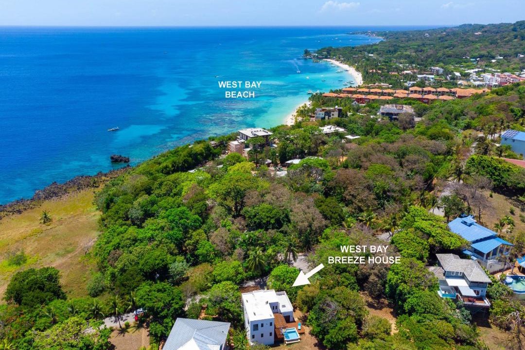 Photo of Others in Lighthouse Estates