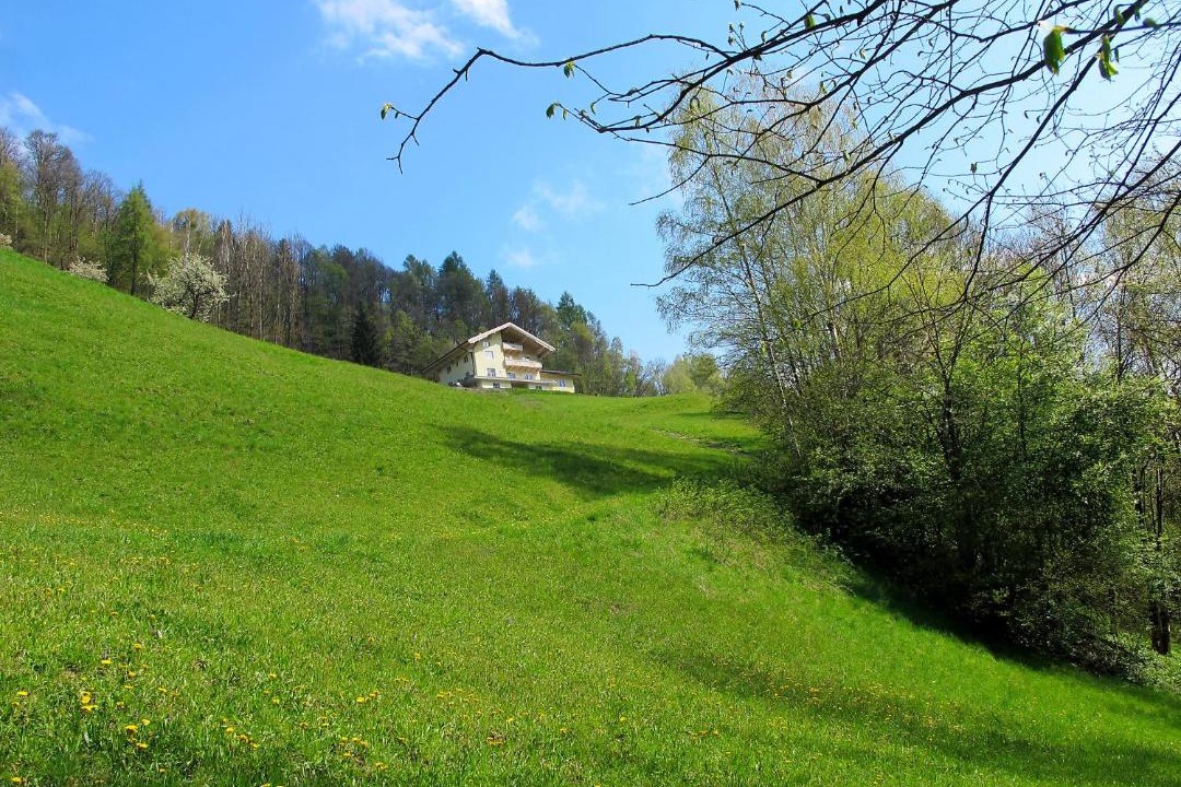 Photo of Others in Goldegg
