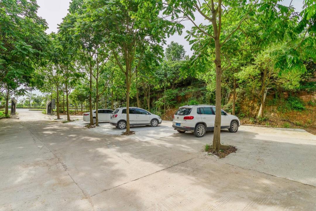 Photo of Others in Huiyang