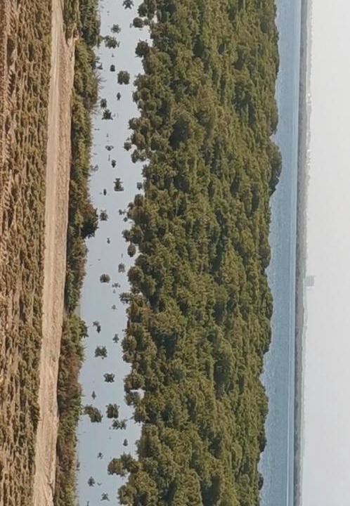 Photo of Others in Umm al Quwain