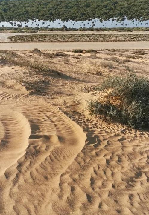 Photo of Outdoor in Umm al Quwain