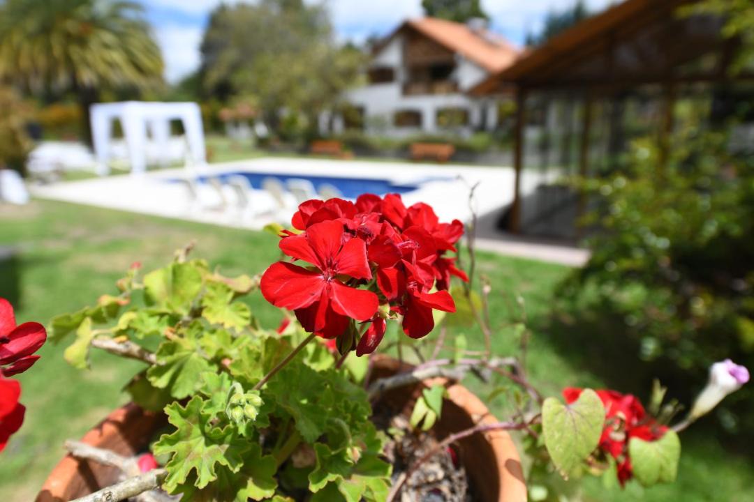 Photo of Outdoor in Tababela