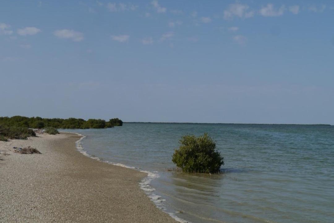 Photo of Outdoor in Umm al Quwain