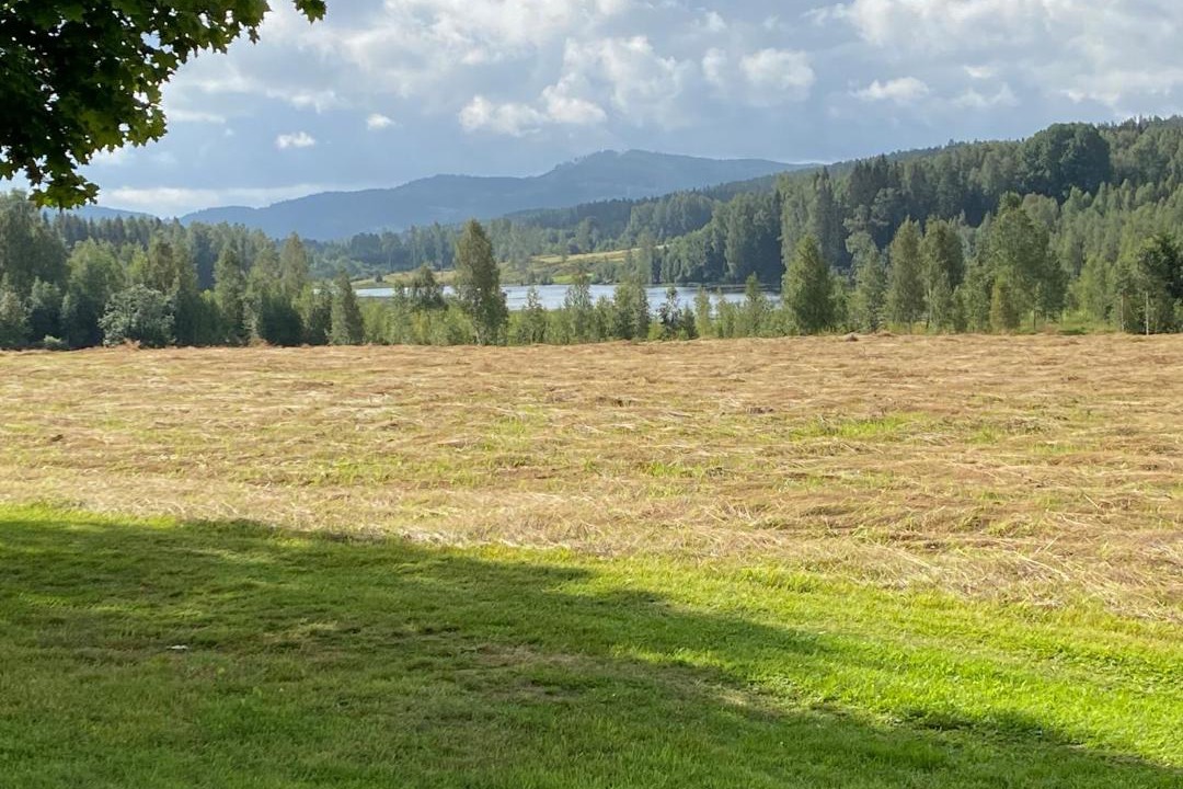 Photo of Others in Torsby