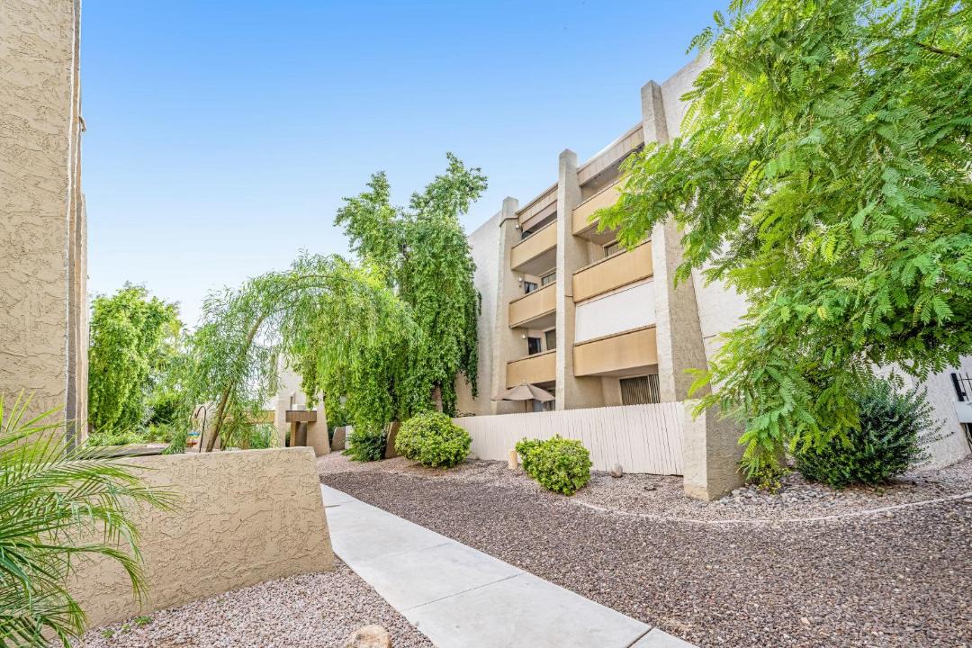Photo of Others in South Scottsdale