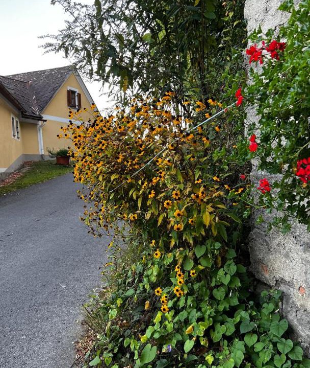 Photo of Others in Fehring