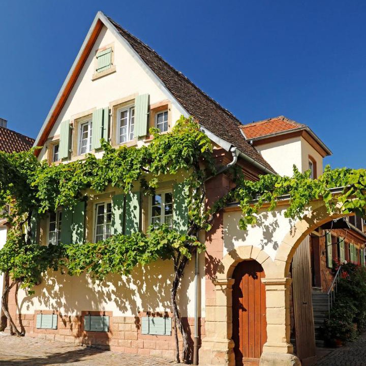Photo of Others in Rhodt unter Rietburg