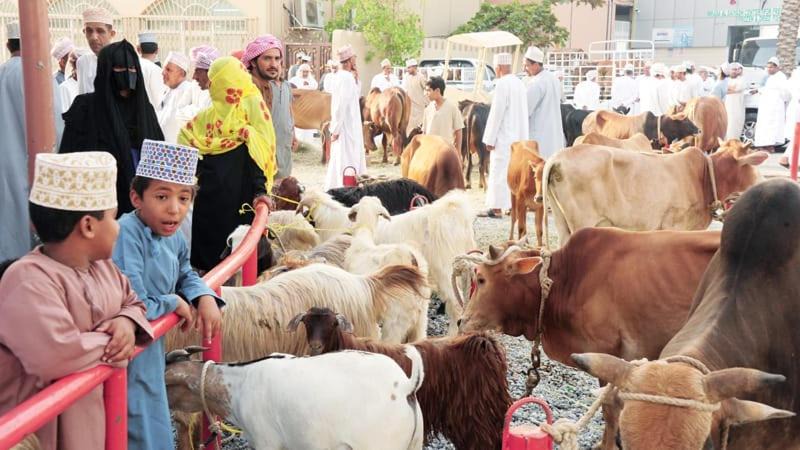 Photo of Others in Nizwa