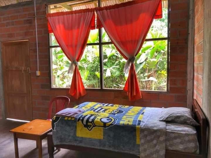 Photo of Bedroom in Misahualli