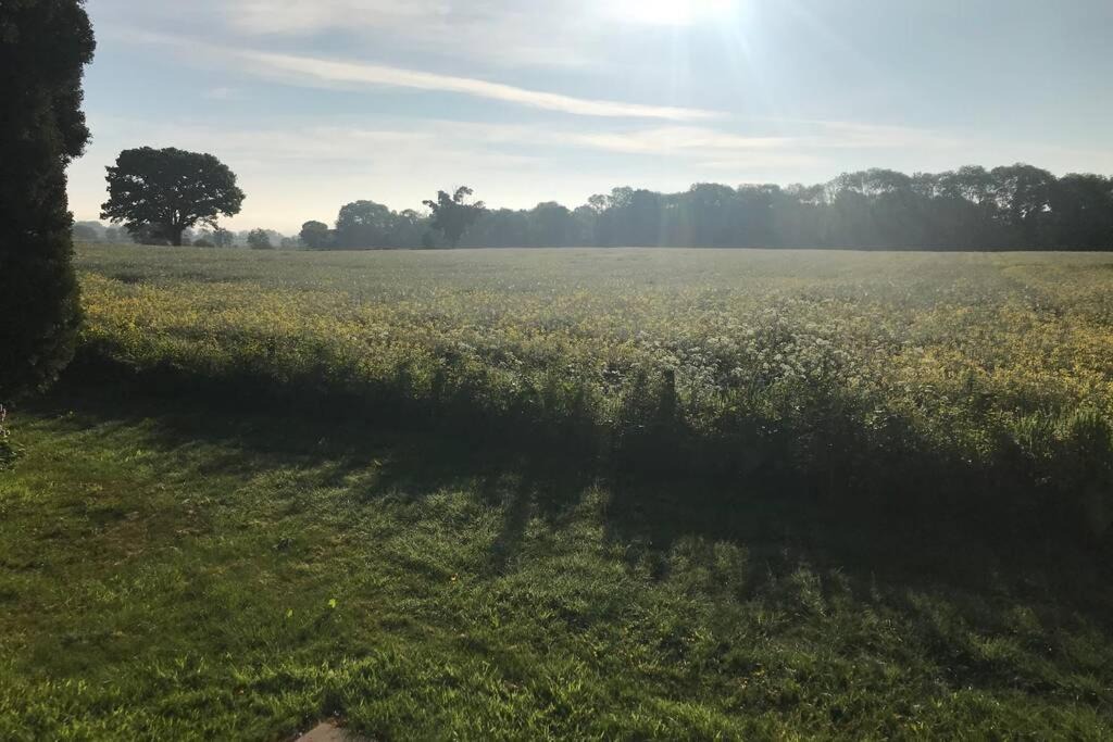 Photo of Outdoor in Pembridge