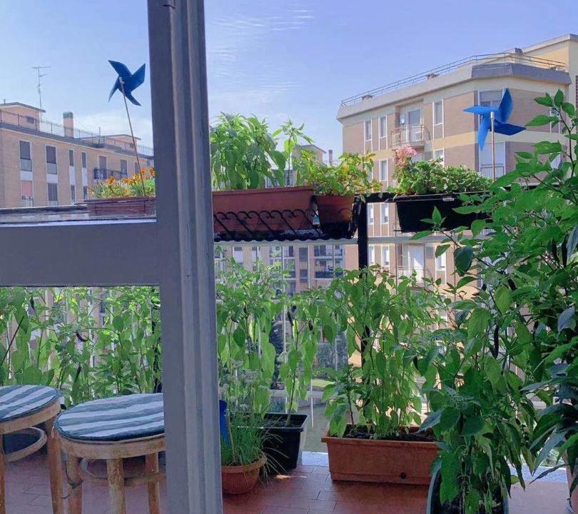 Photo of Patio Balcony in San Donato Milanese