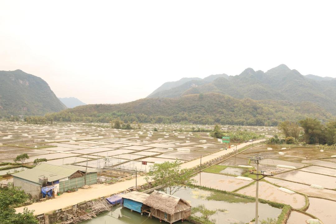 Photo of Others in Chieng Chau