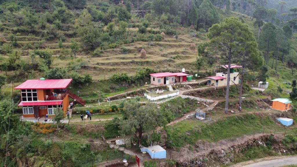 Photo of Others in Tehri