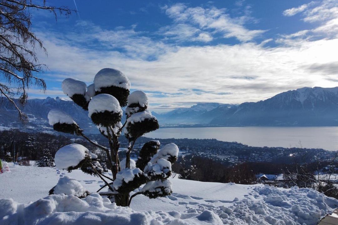 Photo of Outdoor in Jongny