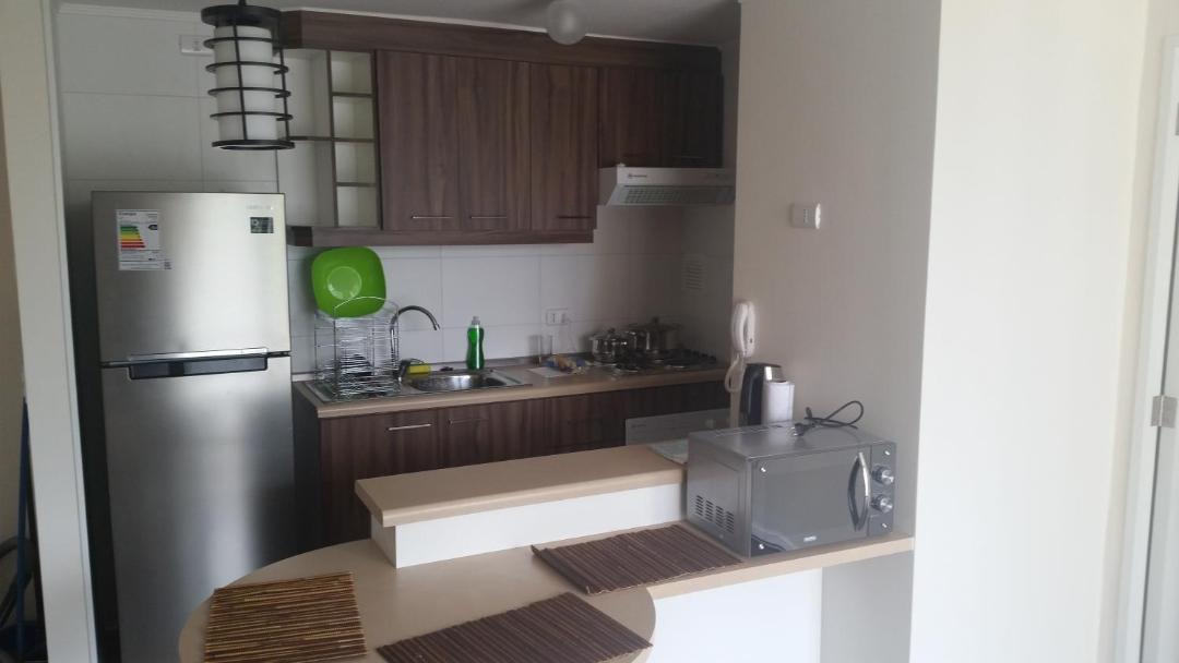 Photo of Kitchen in Puerto Varas