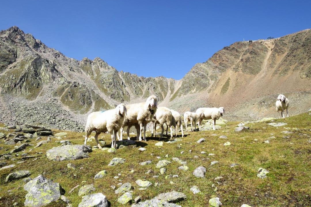 Photo of Others in Soelden