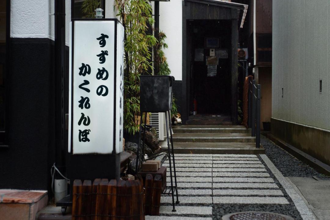 Photo of Others in Koya