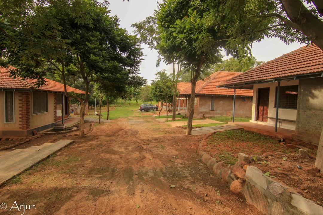 Photo of Buildings in Hosur