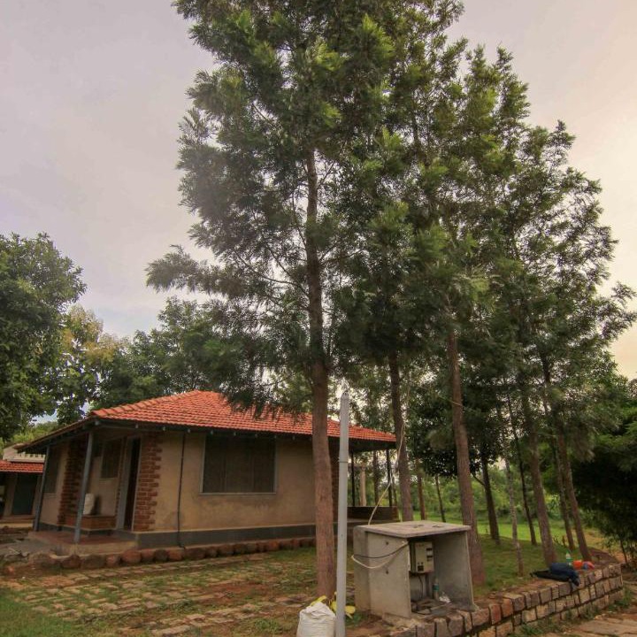 Photo of Buildings in Hosur