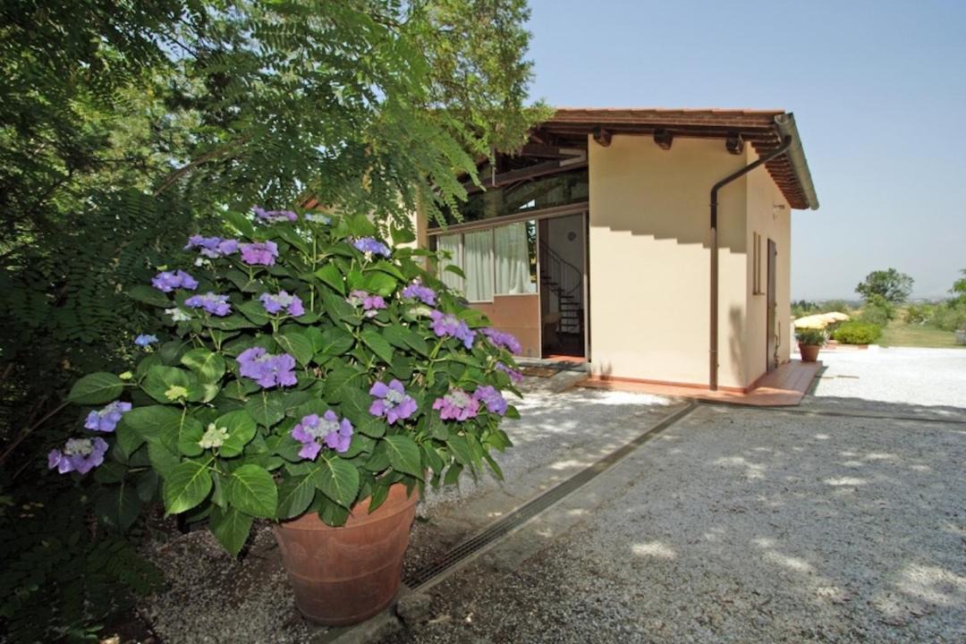 Photo of Buildings in Crespina