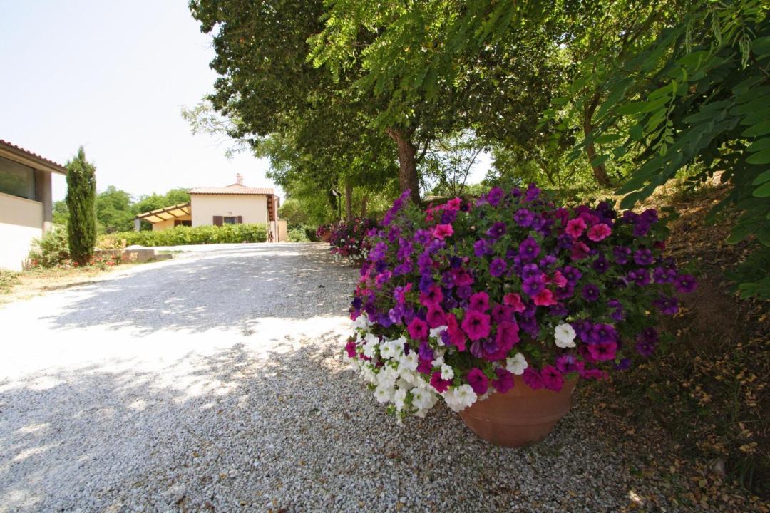 Photo of Others in Crespina