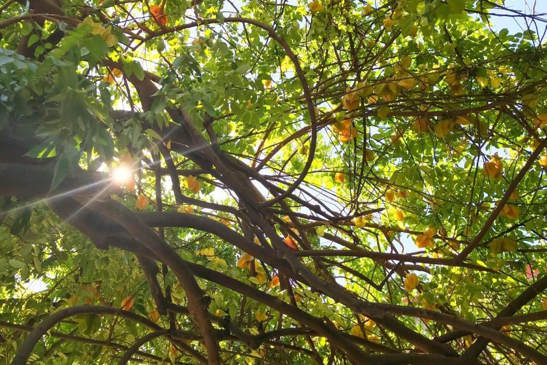 Photo of Outdoor in Granada