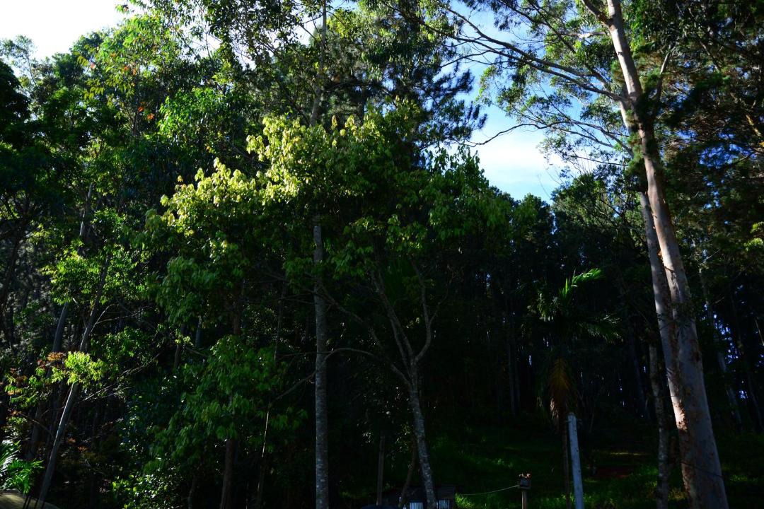 Photo of Outdoor in Ella