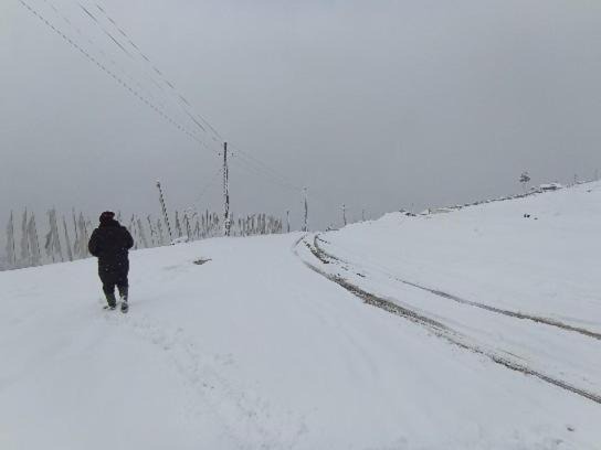 Photo of Others in Lachung