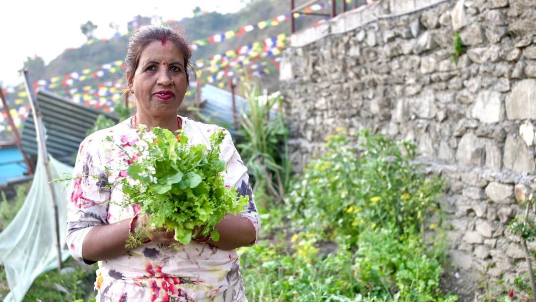 Photo of Human In Picture in Pokhara