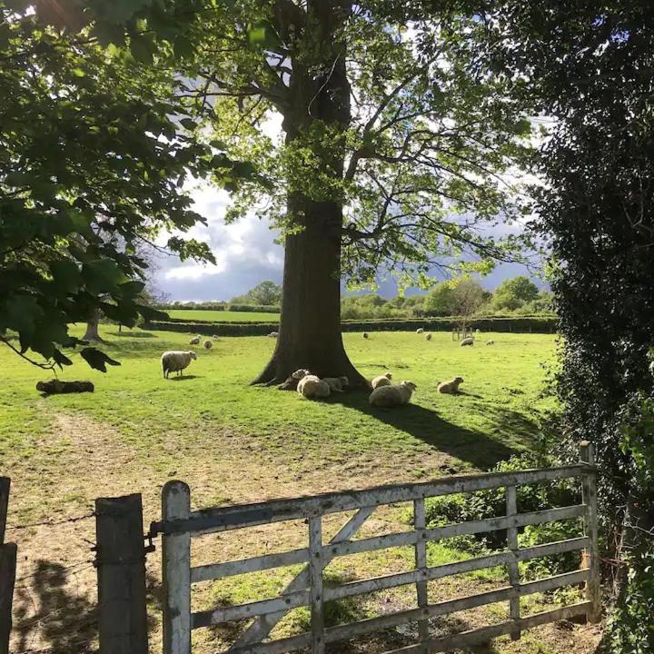 Photo of Others in Goudhurst