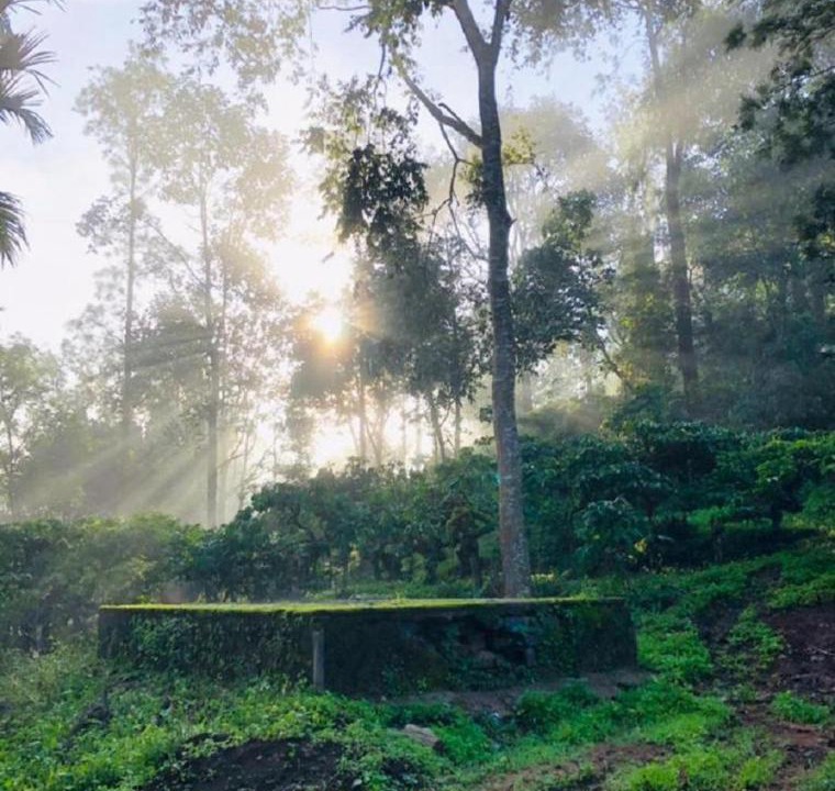 Photo of Outdoor in Vythiri