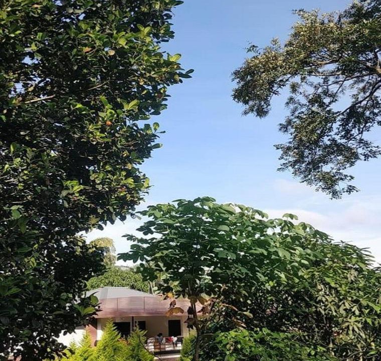 Photo of Outdoor in Vythiri