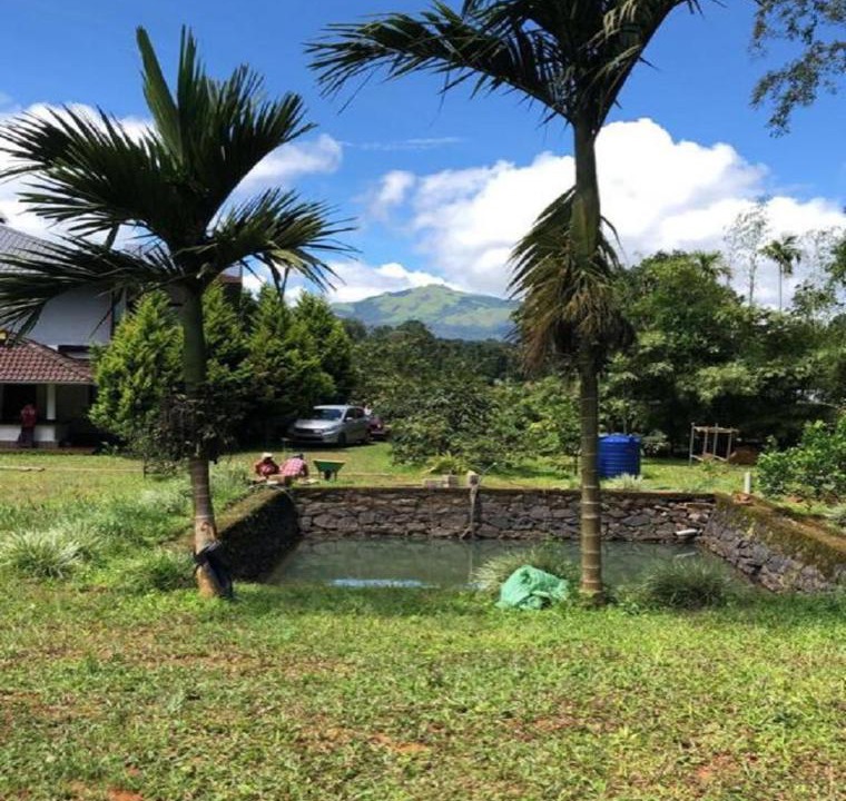 Photo of Outdoor in Vythiri